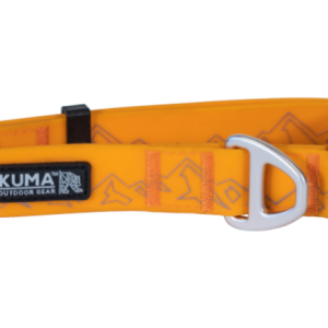 KUMA Soggy Dog Collar - Orange